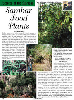 Secrets of the Sambar - Sambar Food Plants - page 74 Issue 46 (click the pic for an enlarged view)