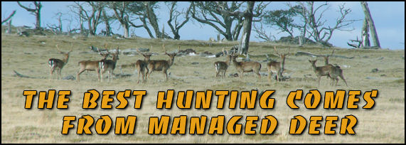 The Best Hunting Comes From Managed Deer - page 46 Issue 54 (click the pic for an enlarged view)