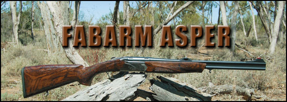 Fabarm Asper Double Rifle .30-06 - page 90 Issue 54 (click the pic for an enlarged view)