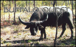 Buffalo Quest - page 74 Issue 58 (click the pic for an enlarged view)