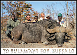 To Bulawayo for Buffalo - page 104 Issue 70 (click the pic for an enlarged view)