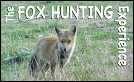 The Fox Hunting Experience - page 40 Issue 70 (click the pic for an enlarged view)