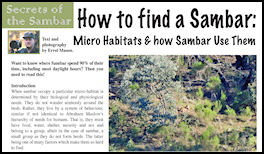 Secrets of the Sambar - How to find a Sambar - page 58 Issue 70 (click the pic for an enlarged view)