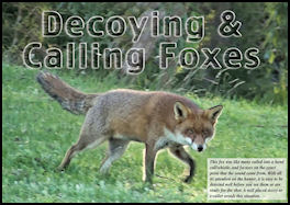 Decoying and Calling Foxes - page 70 Issue 70 (click the pic for an enlarged view)