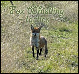 Fox Whistling Tactics - page 26 Issue 74 (click the pic for an enlarged view)