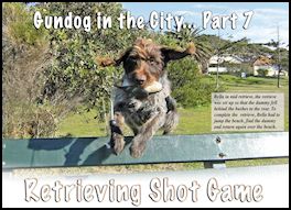 Gundog in the City... Part 7: Retrieving Shot Game (page 118) Issue 78 (click the pic for an enlarged view)