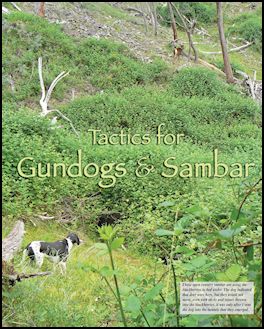 Tactics for Gundogs & Sambar (page 38) Issue 78 (click the pic for an enlarged view)