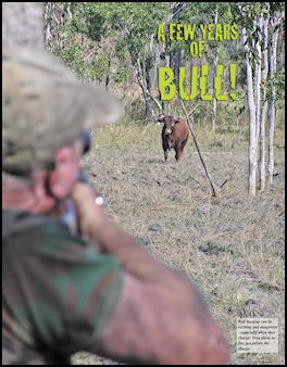 A Few Years of Bull (page 62) Issue 78 (click the pic for an enlarged view)
