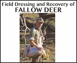 Field Dressing and Recovery of Fallow Deer (page 102) Issue 82 (click the pic for an enlarged view)