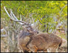 Queensland Rusa & Hogs   (page 64) Issue 82 (click the pic for an enlarged view)