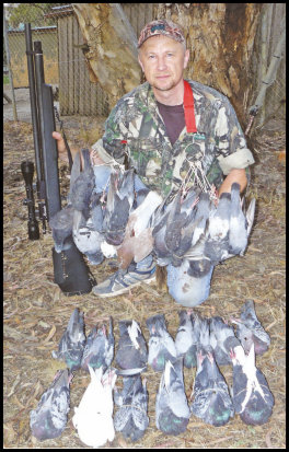 Airgunning Feral Pigeons (page 48) Issue 90 (click the pic for an enlarged view)