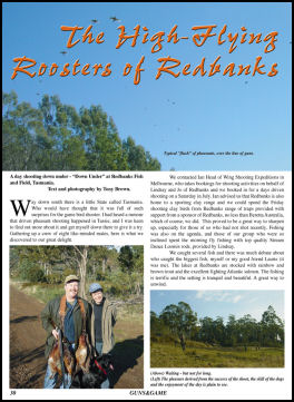 The High-Flying Roosters of Redbanks - page 30 Issue 49 (click the pic for an enlarged view)