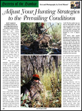 Adjusting Your Hunting Strategies for the Prevailing Conditions - page 68 Issue 49 (click the pic for an enlarged view)