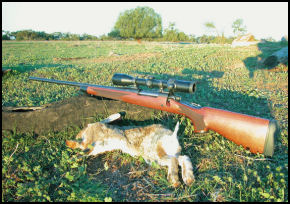 Remington 700 CDL - Left Hand .30-06 - page 74 Issue 53 (click the pic for an enlarged view)