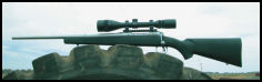 Savage Model 16 FLSS Weather Warrior.223 - page 97 Issue 53 (click the pic for an enlarged view)