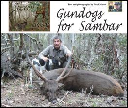 Secrets of the Sambar  Gundogs for Sambar - page 86 Issue 57 (click the pic for an enlarged view)