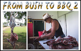 Bush to BBQ 2 - page 54 Issue 52 (click the pic for an enlarged view)