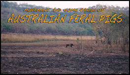 Movement and home range of feral pigs - page 86 Issue 56 (click the pic for an enlarged view)