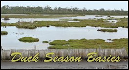Duck Season Basics (page 28) Issue 81 (click the pic for an enlarged view)