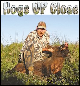 Hogs Up Close (page 36) Issue 81 (click the pic for an enlarged view)