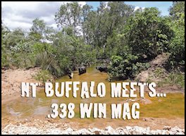 N.T. Buffalo Meets .338 Win Mag (page 52) Issue 81 (click the pic for an enlarged view)