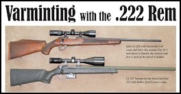 Varminting with the .222 Rem (page 82) Issue 81 (click the pic for an enlarged view)
