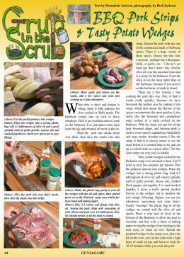 BBQ Pork Strips and Tasty Potato Wedges - page 44 Issue 47 (click the pic for an enlarged view)