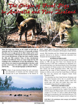 The Origin of Feral Pigs in Australia and New Zealand - page 78 Issue 47 (click the pic for an enlarged view)
