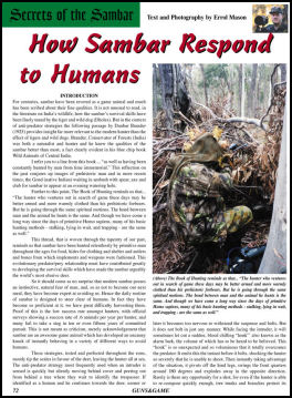 How Sambar Respond to Humans - page 72 Issue 51 (click the pic for an enlarged view)
