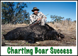 Charting Boar Success - page 36 Issue 59 (click the pic for an enlarged view)