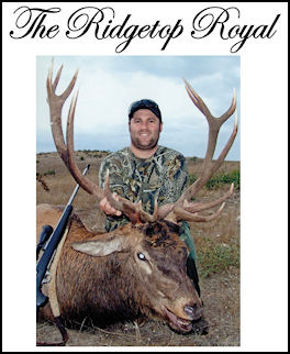 The Ridgetop Royal - page 54 Issue 67 (click the pic for an enlarged view)