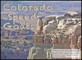Colorado Speed Goats - page 118 Issue 71 (click the pic for an enlarged view)
