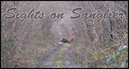 Sights on Sanglier - page 70 Issue 71 (click the pic for an enlarged view)