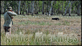 Archer River Hogs - page 80 Issue 71 (click the pic for an enlarged view)