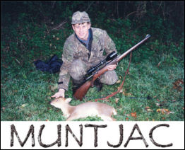 Muntjac  - page 103 Issue 56 (click the pic for an enlarged view)