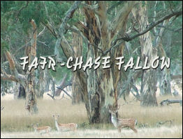 Fair Chase Fallow - page 46 Issue 52 (click the pic for an enlarged view)