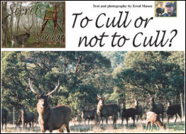 Secrets of the Sambar – To Cull or not to Cull - page 56 Issue 56 (click the pic for an enlarged view)