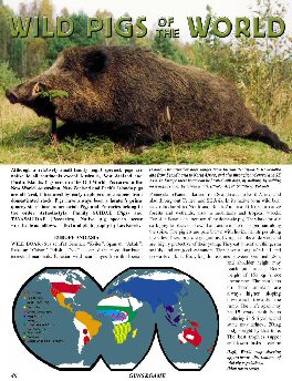 Wild Pigs of the World - An Overview - page 46 Issue 44 (click the pic for an enlarged view)