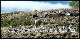 Long Shots and Mountain Billies - page 82 Issue 68 (click the pic for an enlarged view)