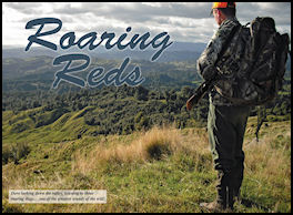 Roaring Reds - page 100 Issue 72 (click the pic for an enlarged view)