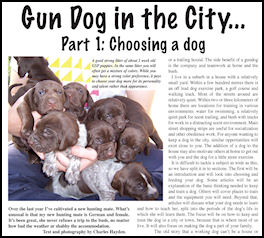 Gun Dog in the City: Choosing a dog, Part 1 - page 135 Issue 72 (click the pic for an enlarged view)