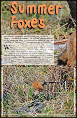 Summer Fox - page 28 Issue 72 (click the pic for an enlarged view)