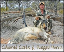 Coloured Coats & Rugged Horns (page 56) Issue 84 (click the pic for an enlarged view)