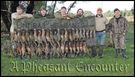A Pheasant Encounter (page 80) Issue 84 (click the pic for an enlarged view)